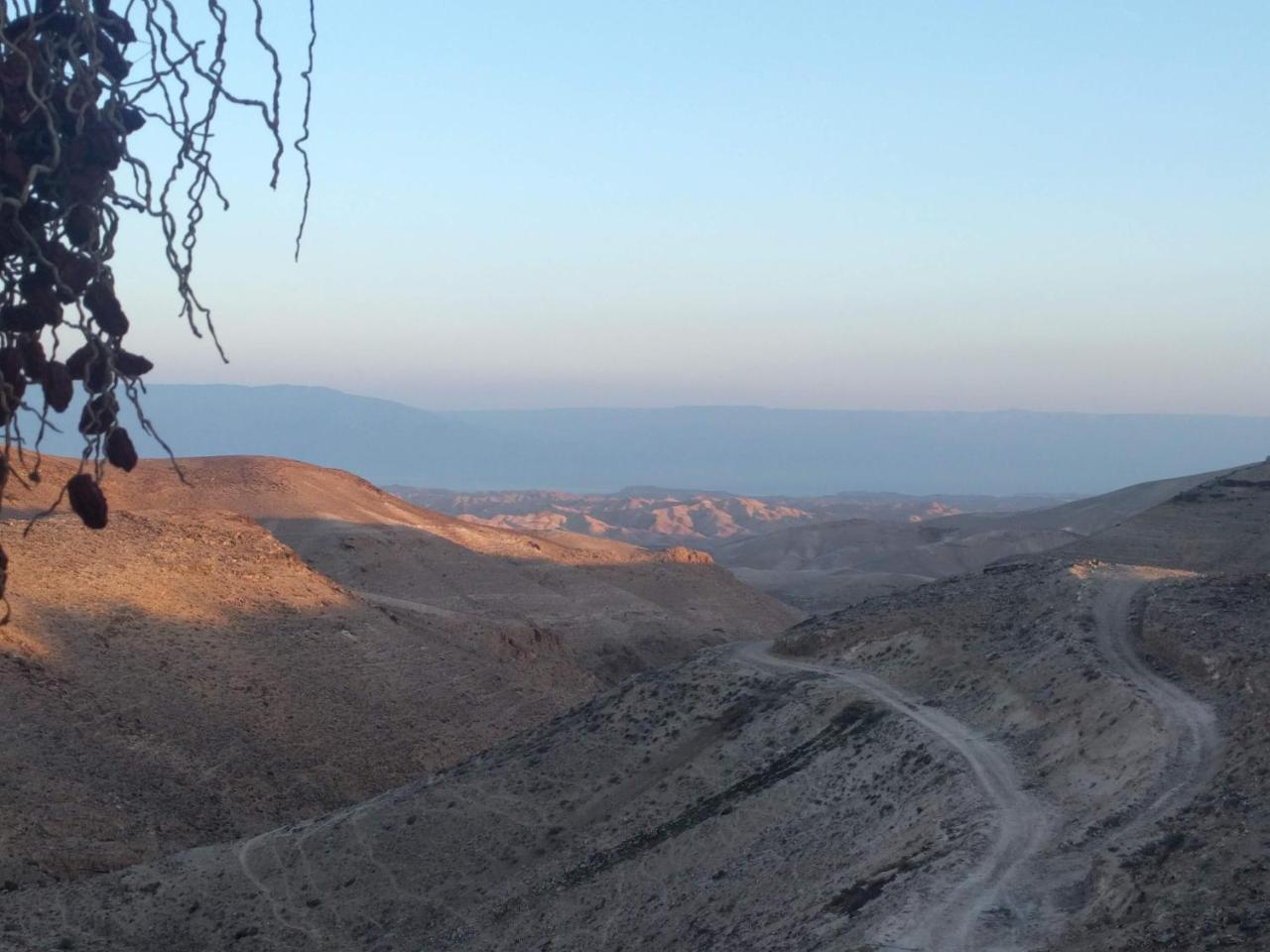 Dead Sea Desert'S Edge 아라드 외부 사진