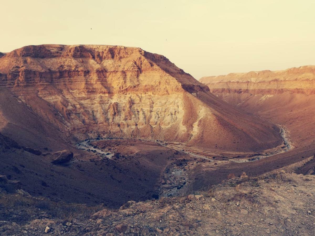 Dead Sea Desert'S Edge 아라드 외부 사진